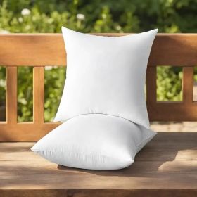 Throw Pillows (Option: W13724783)